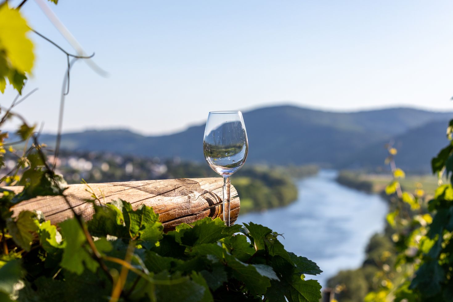Drink wine while gazing at Moselle river