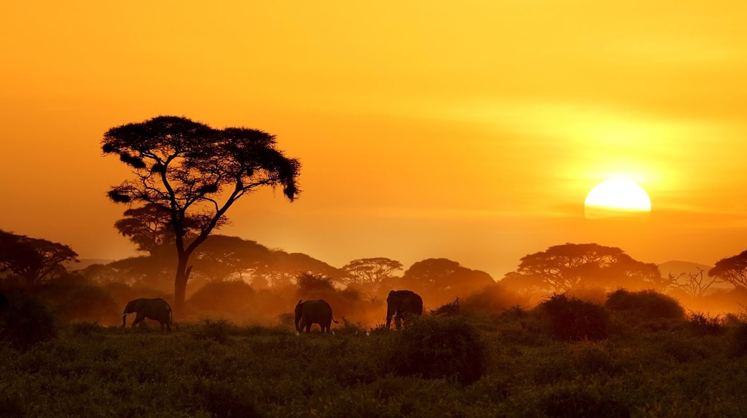 Sunset in Amboseli