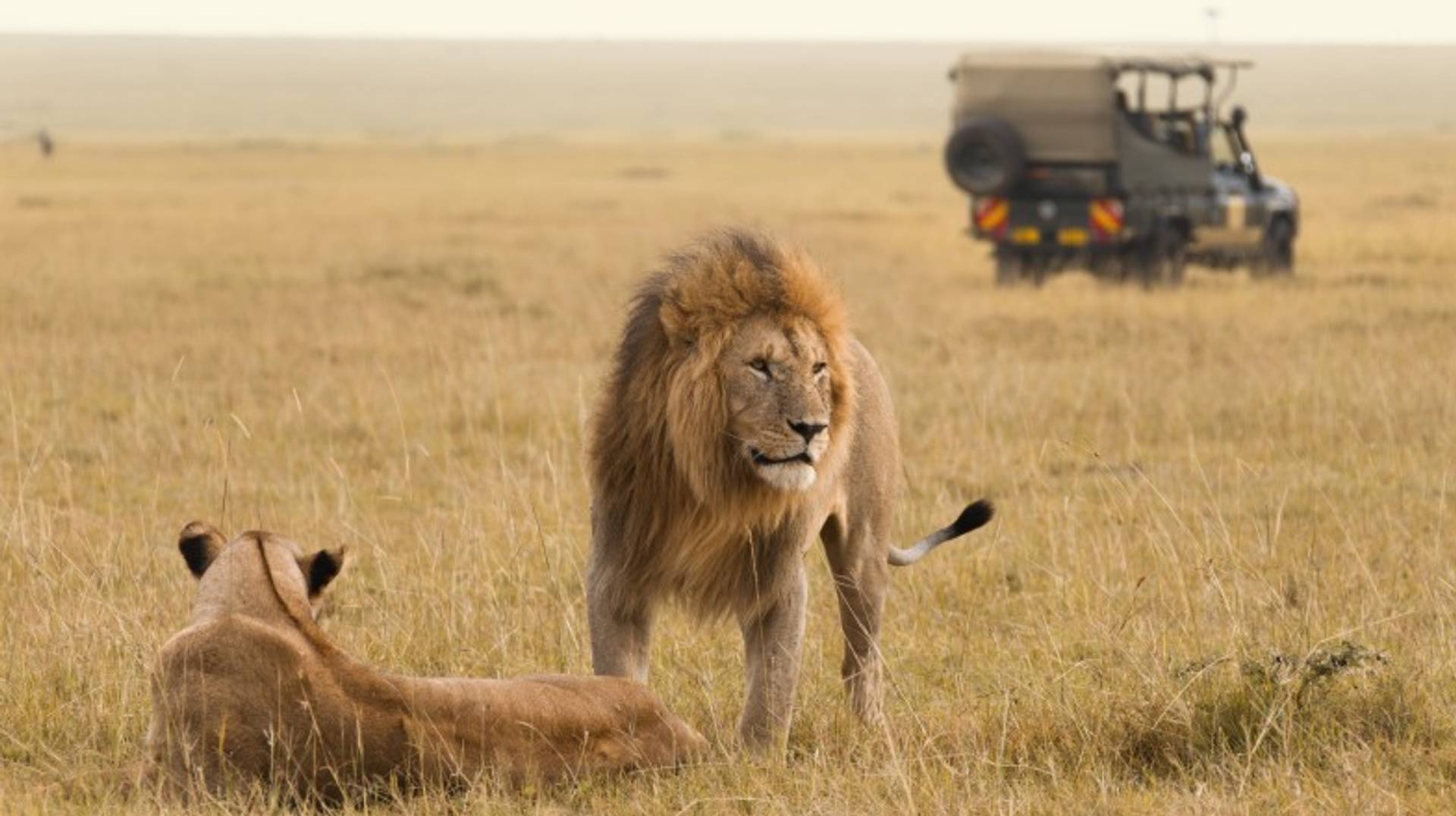 Great Kenya Itineraries: How Many Days to Spend?