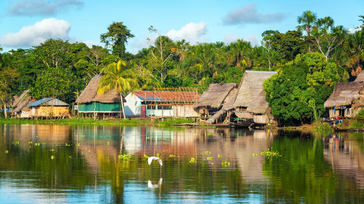 Peruvian Amazonia is the area of Amazon rain forest that falls inside Peru.