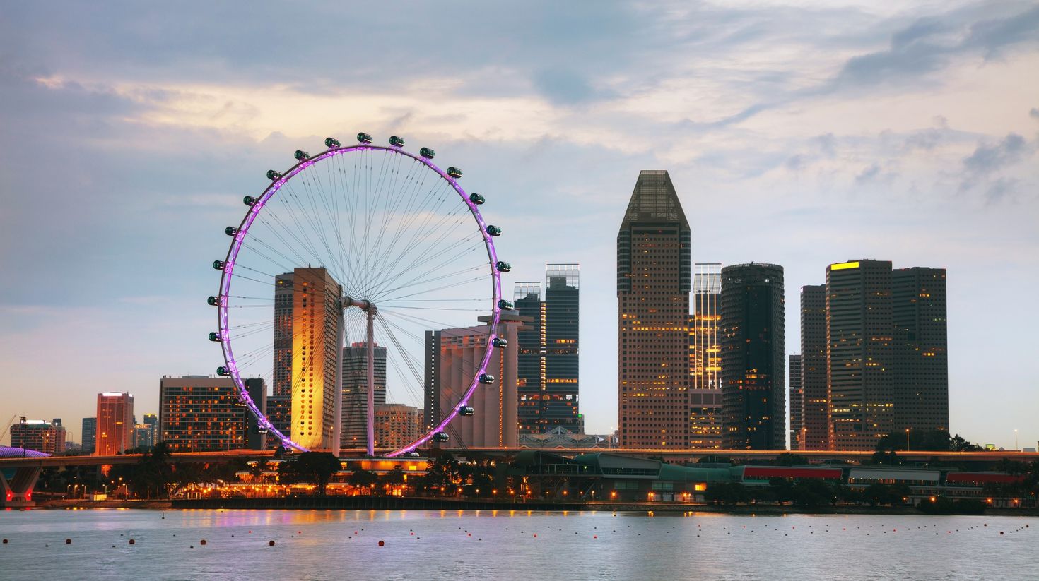 Singapore Flyer and the skyline.