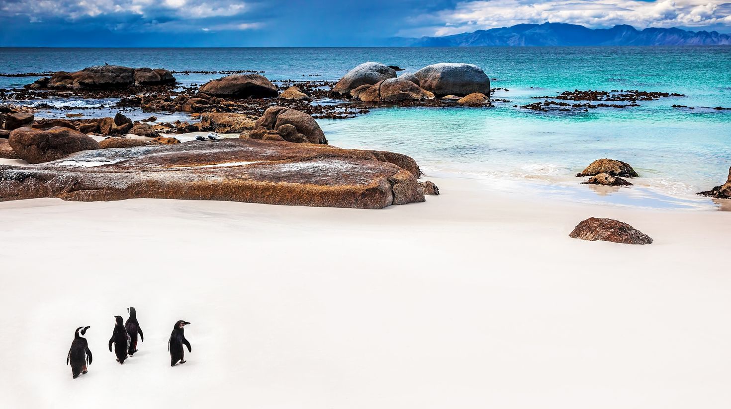 Located in Cape Penisula, Boulders beach should be added in your itinerary.