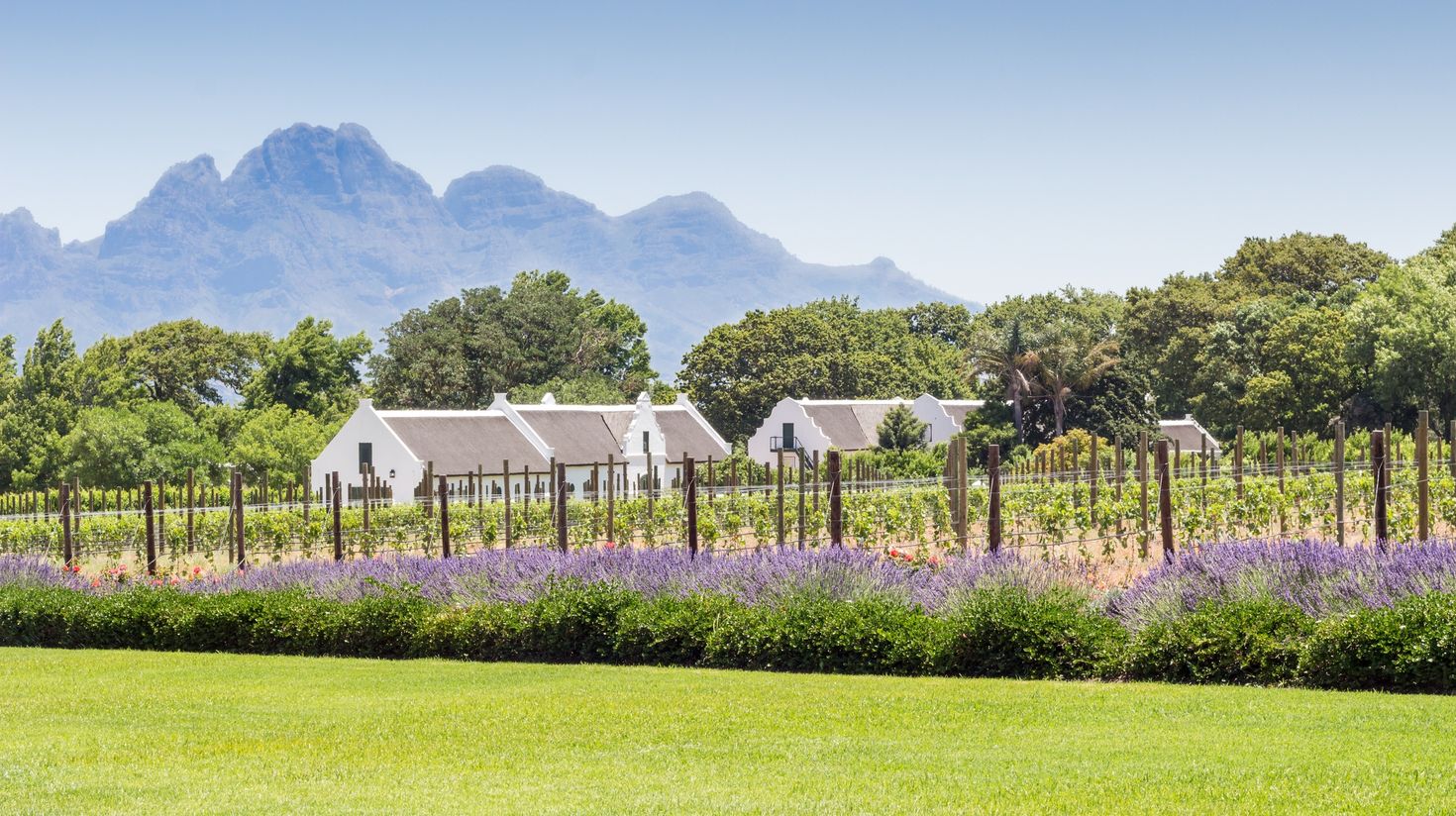Franschhoek is a small and one of the oldest towns of South Africa.