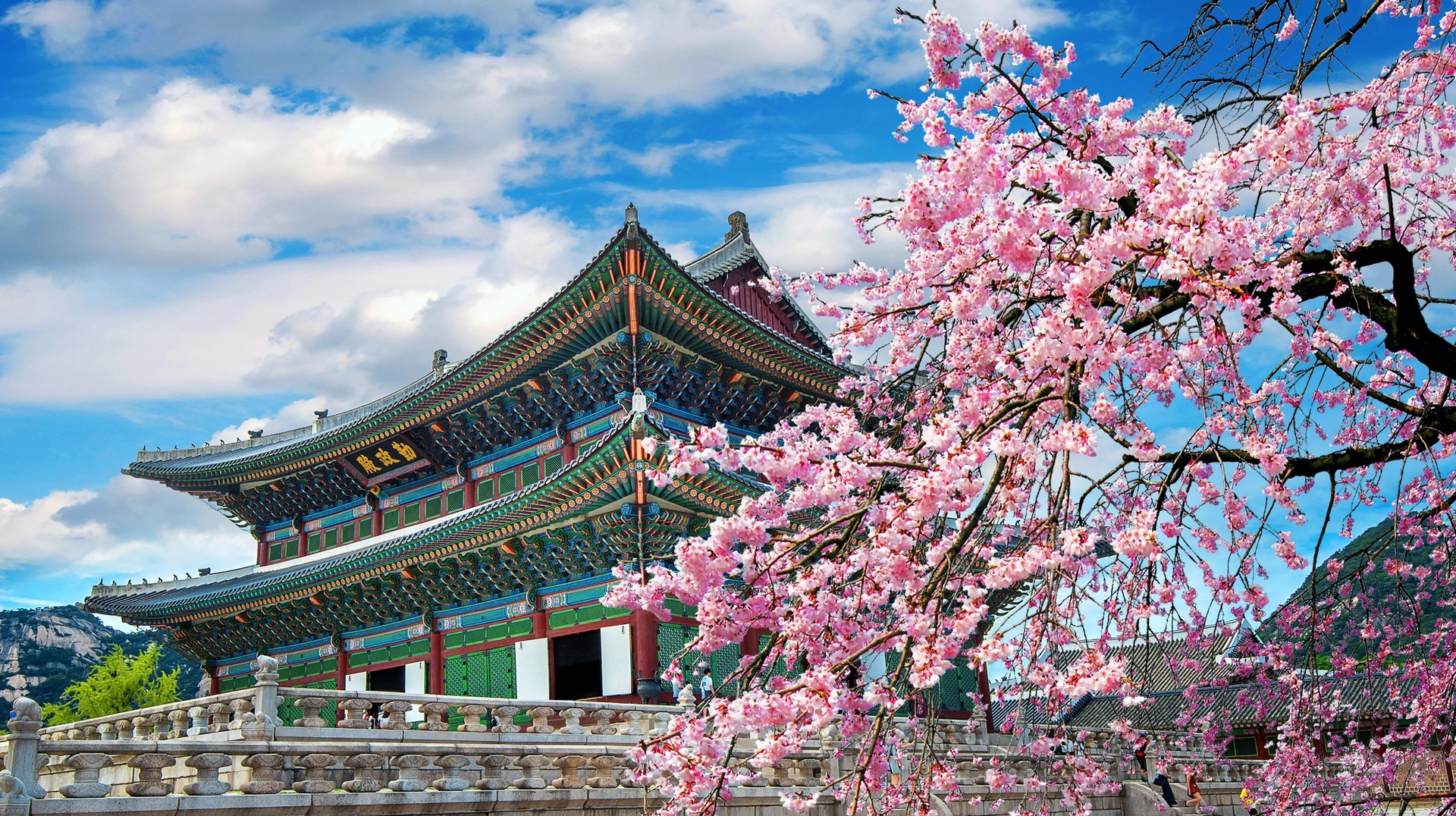 South Korea is famous for its rich culture, stunning natural beauty and delicious food. Include watching cherry blossoms and traditional buildings in your South Korean itinerary.