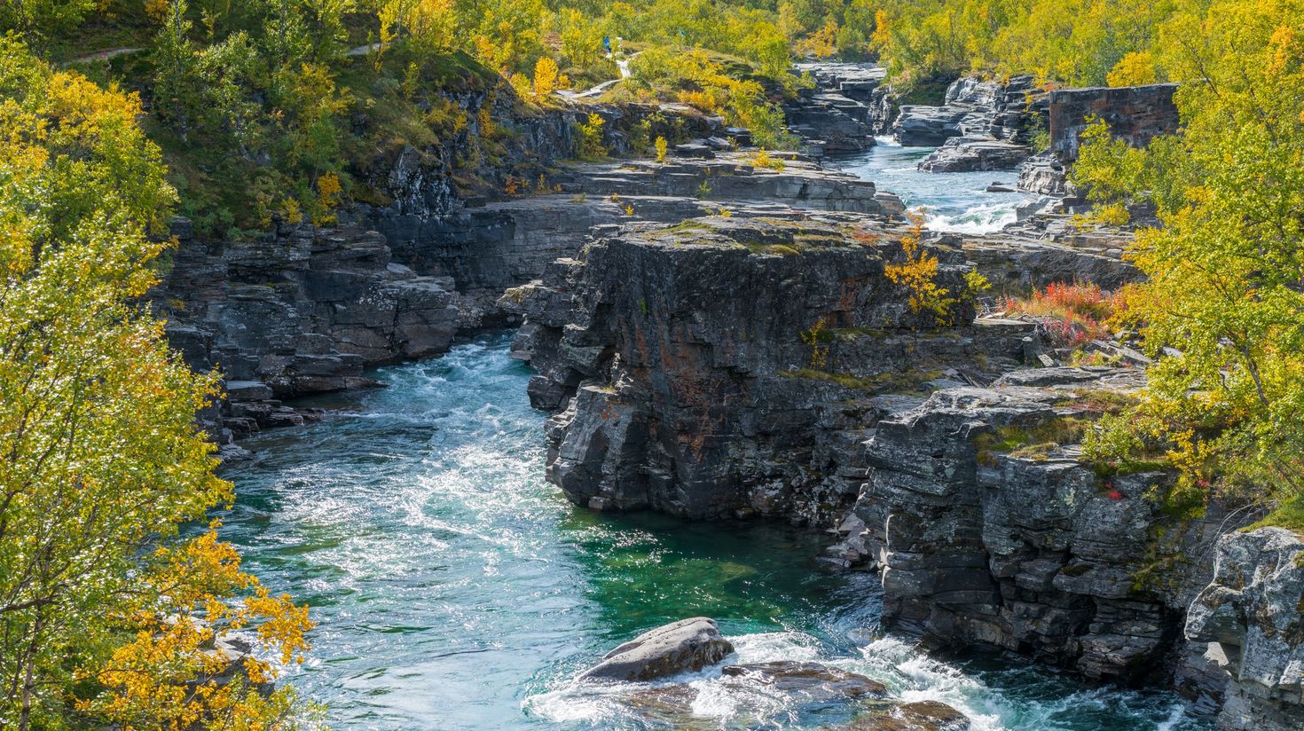 Wild Abisko river flows swiftly through rocky gorge in Abisko National Park