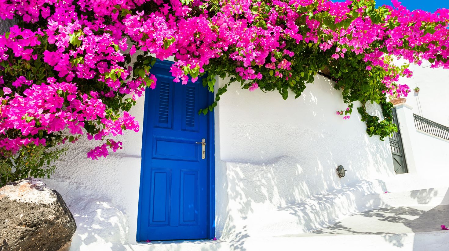White architecture and pink flowers on Santorini island, Greece
