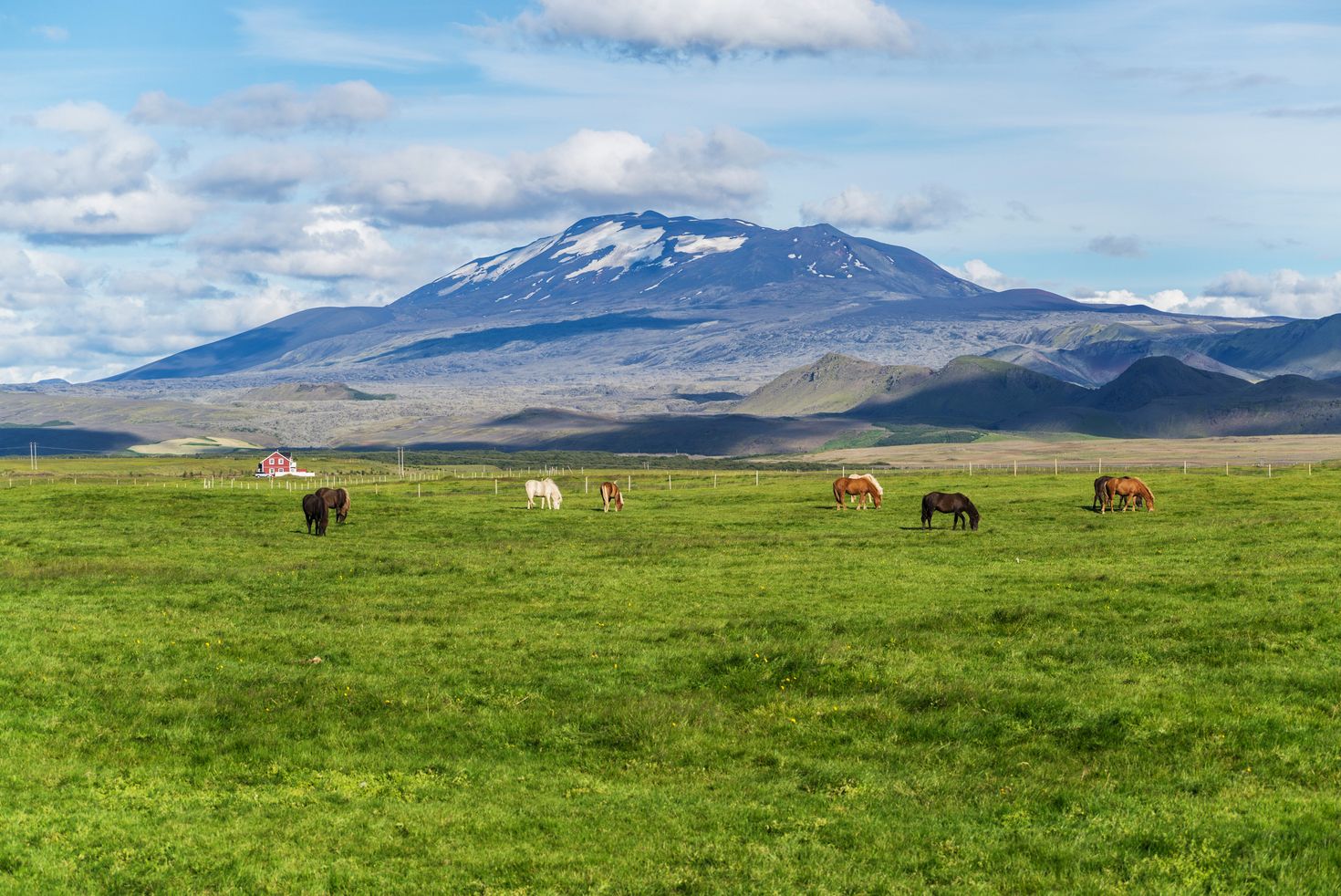 Horse riding in Hekla