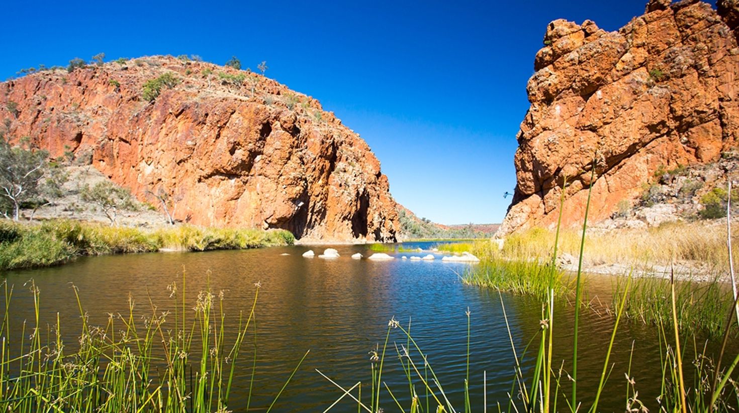 View of landscape in the Larapinta Trail