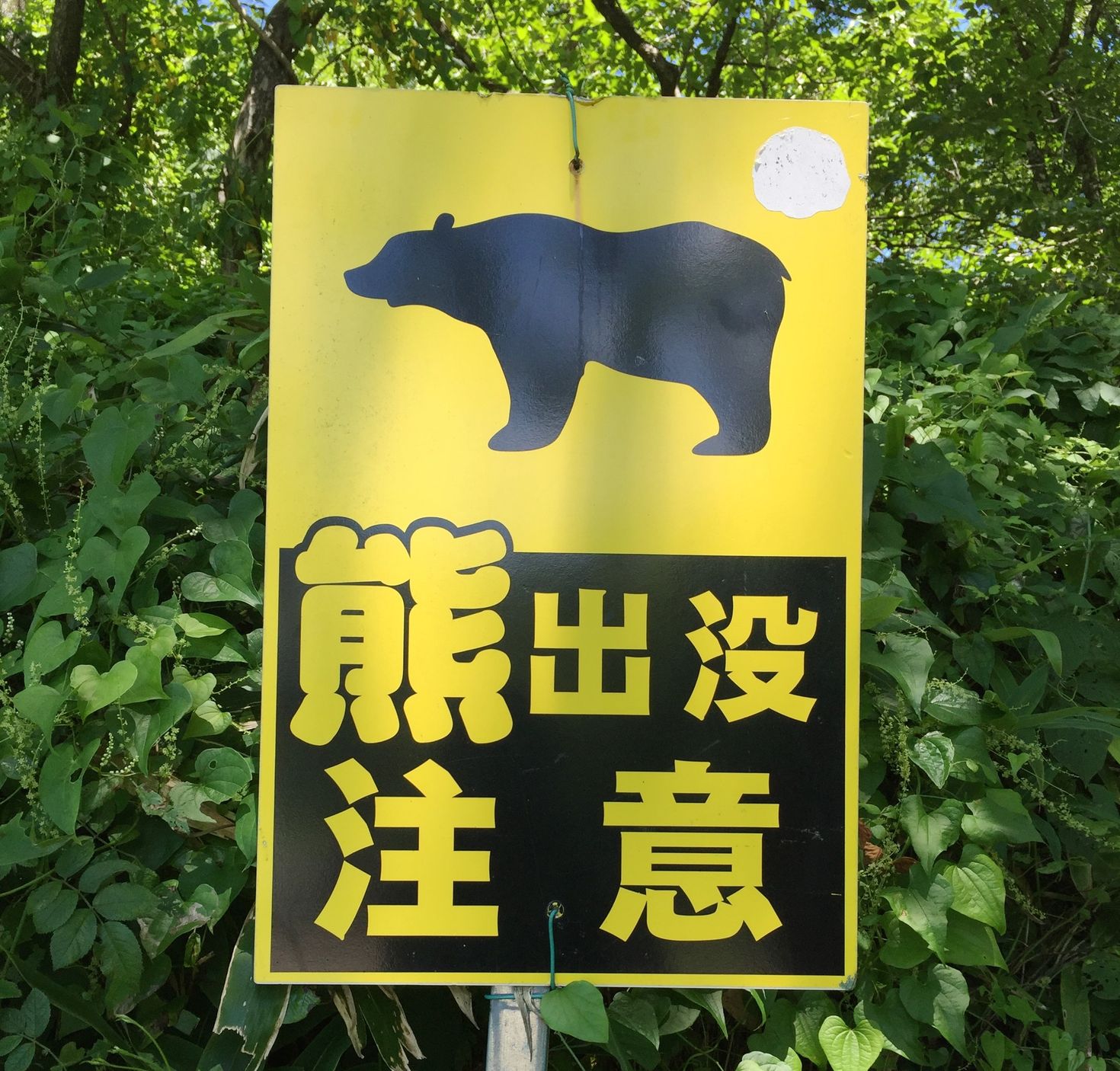 There are bears in the Koyasan area so it&rsquo;s worth taking a bear bell just in case!