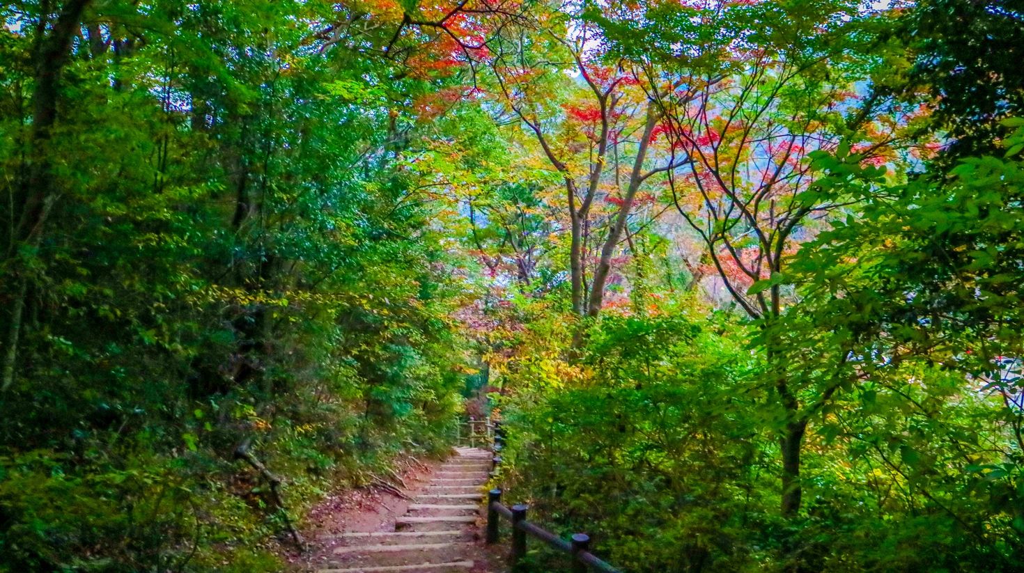 The Omotesando trail is one of the best hikes in Japan that you should take!