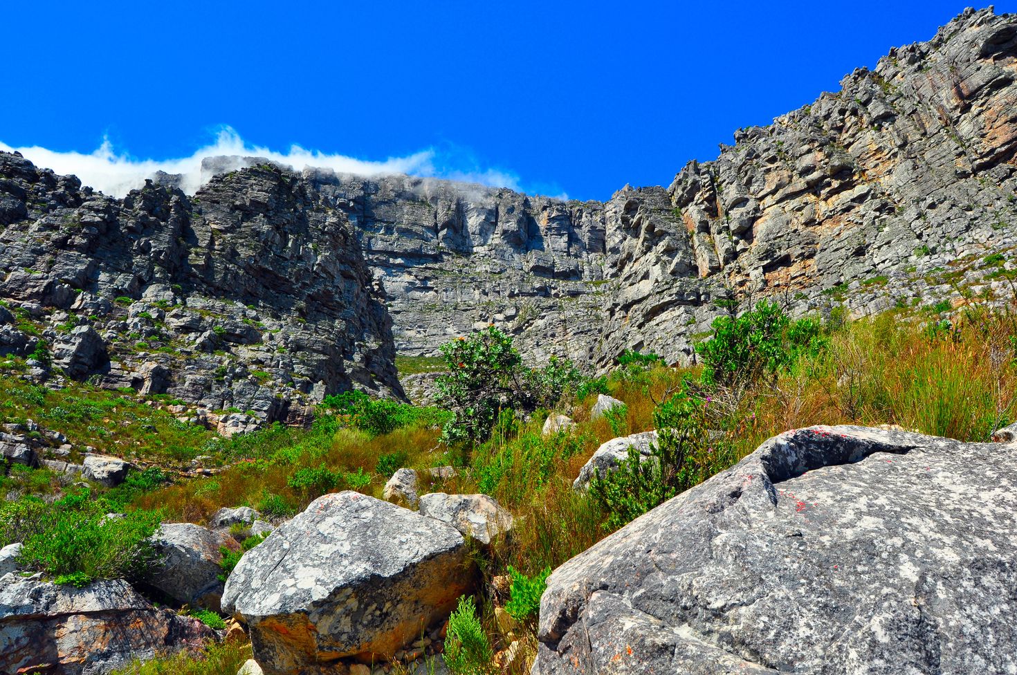 India Venster trail on Table Mountain Hike