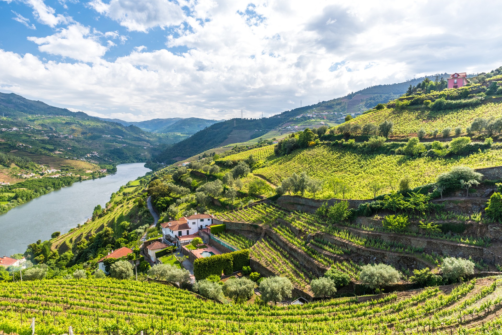 The Douro Valley gets its name from the Douro River that flows through it, starting from the Sorria province of Spain and ending at Porto in Portugal. The Douro River flows through the lush Douro Valley and Porto.