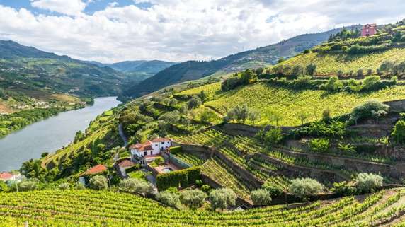 How to get to Douro Valley: From Porto and Lisbon