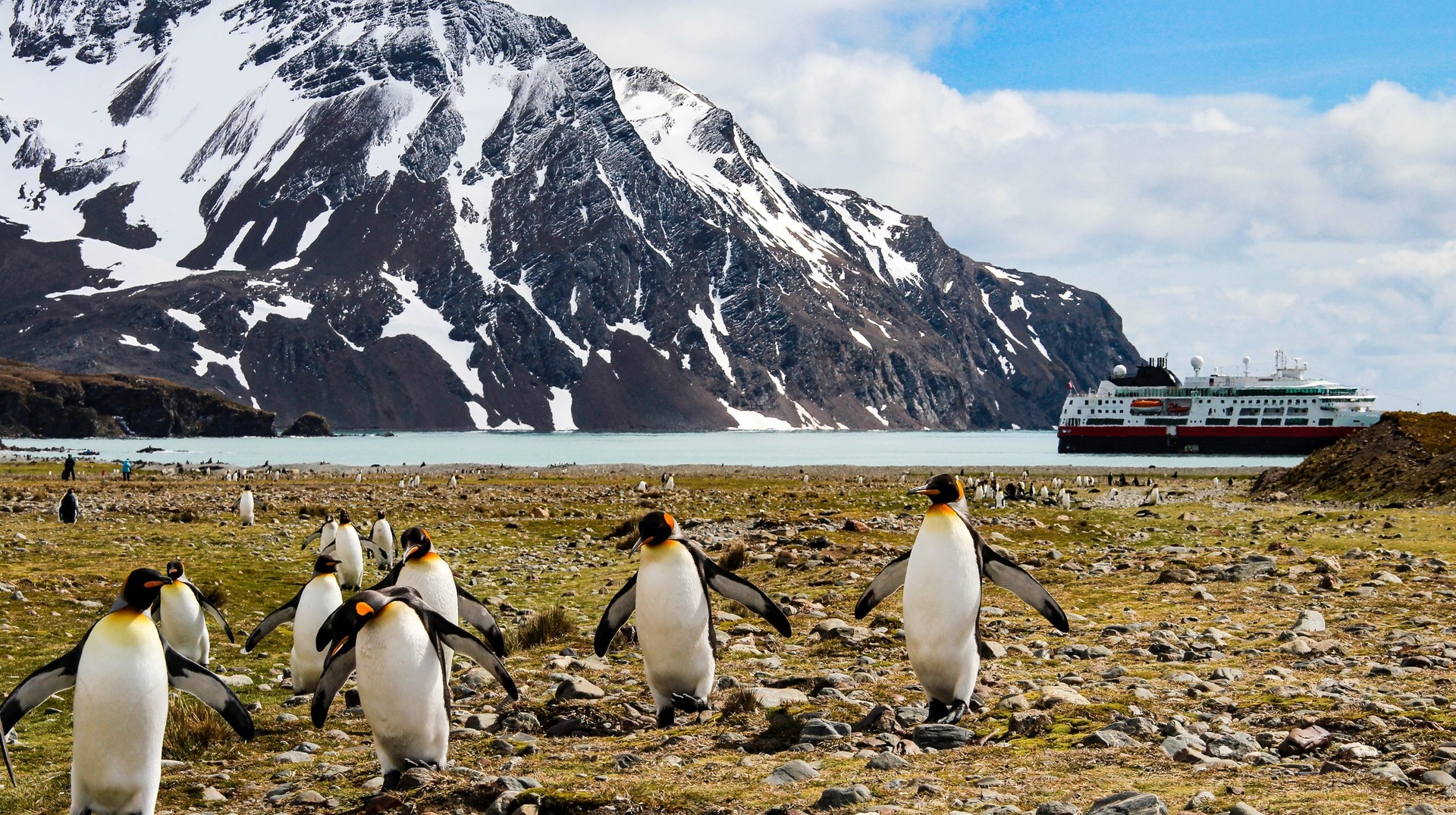 A trip to Antarctica is a once in a lifetime experience Penguins gather on the tundra as an Antarctic cruise ship passes by.