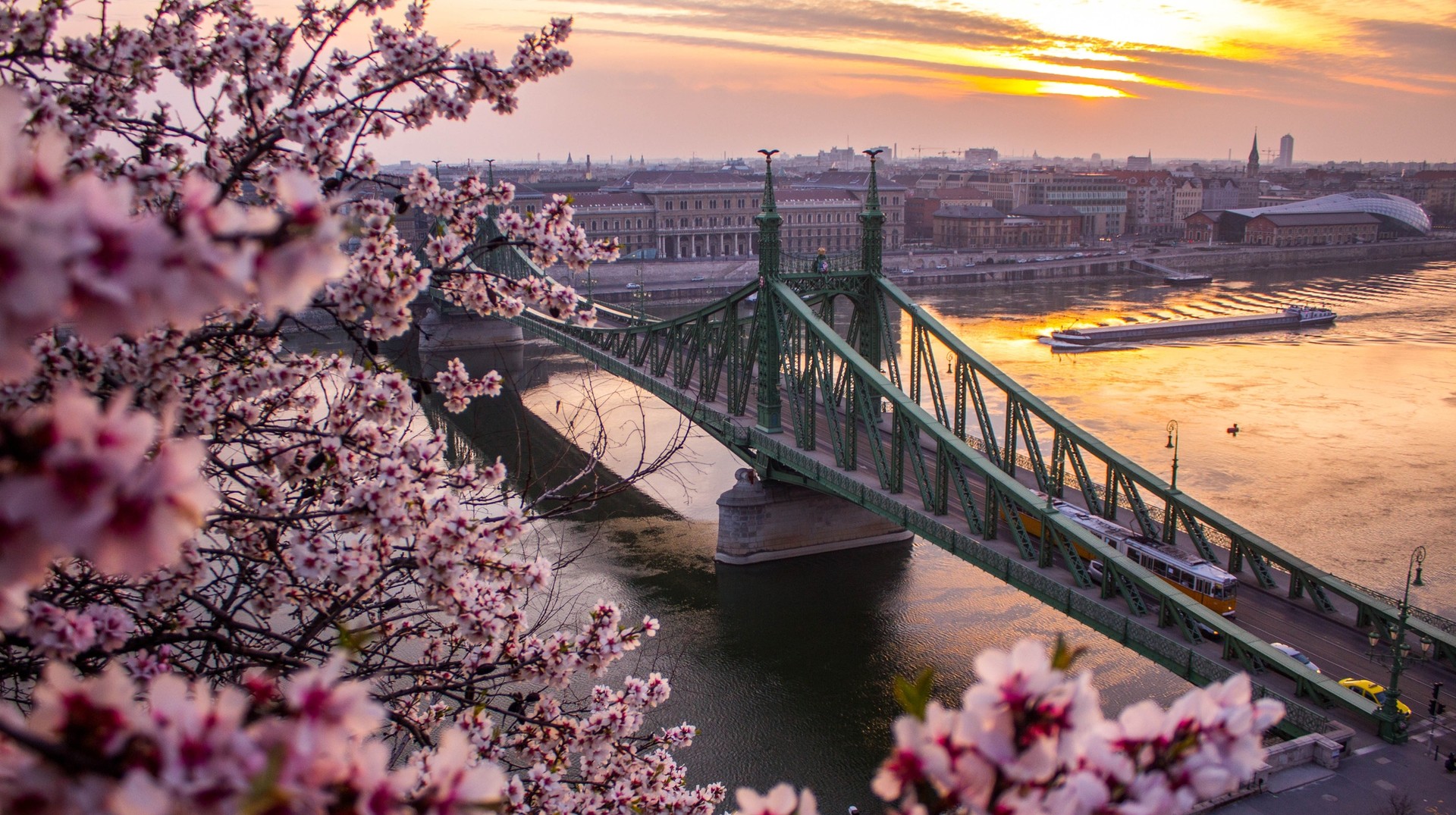 As winter gives way to spring, wonderful outdoor activities become possible in March. Spring flowers blooming in Budapest in Hungary in March.