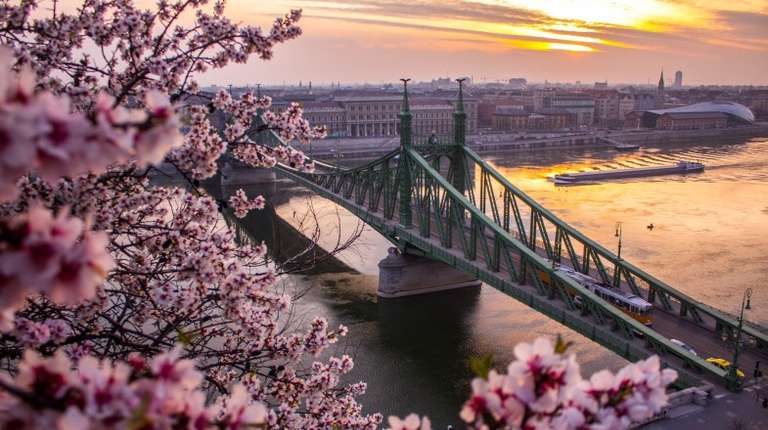 Spring flowers blooming in Budapest in Hungary in March.