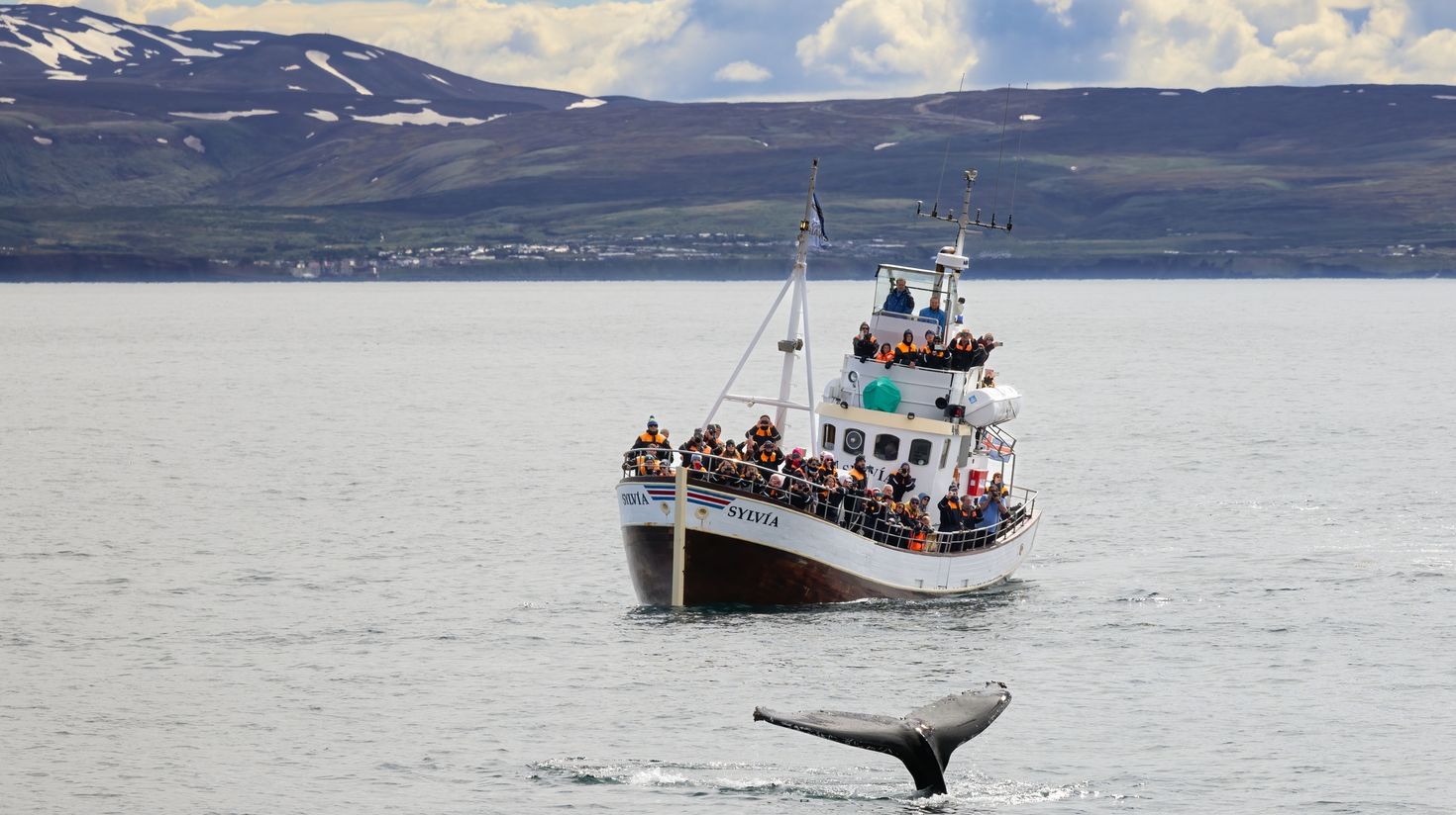 A boat full of tourists on a whale-watching tour.
