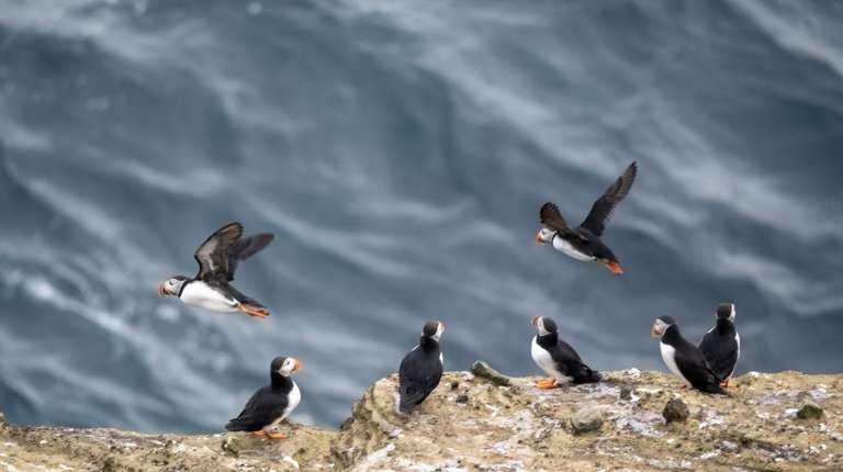 Iceland in July: Weather, Outdoor Adventures, and More