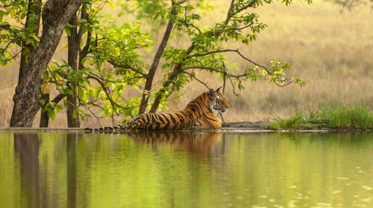India in 6 Days: 4 Recommended 6-day Itineraries to India