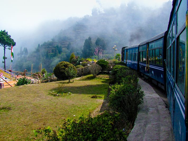 A train passing by a small garden.