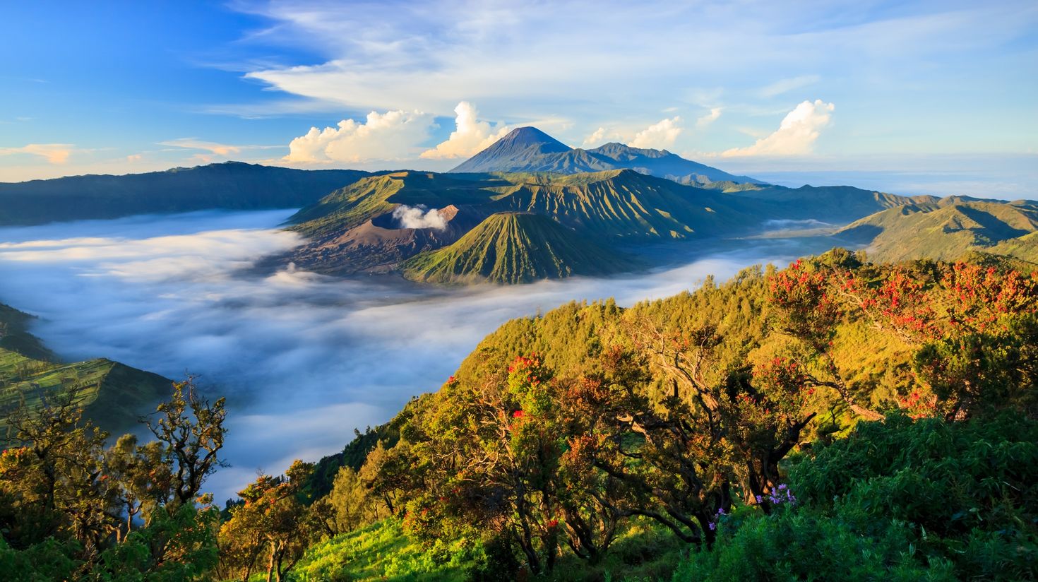 A view of Mount Bromo with fog surrounding the volcano.