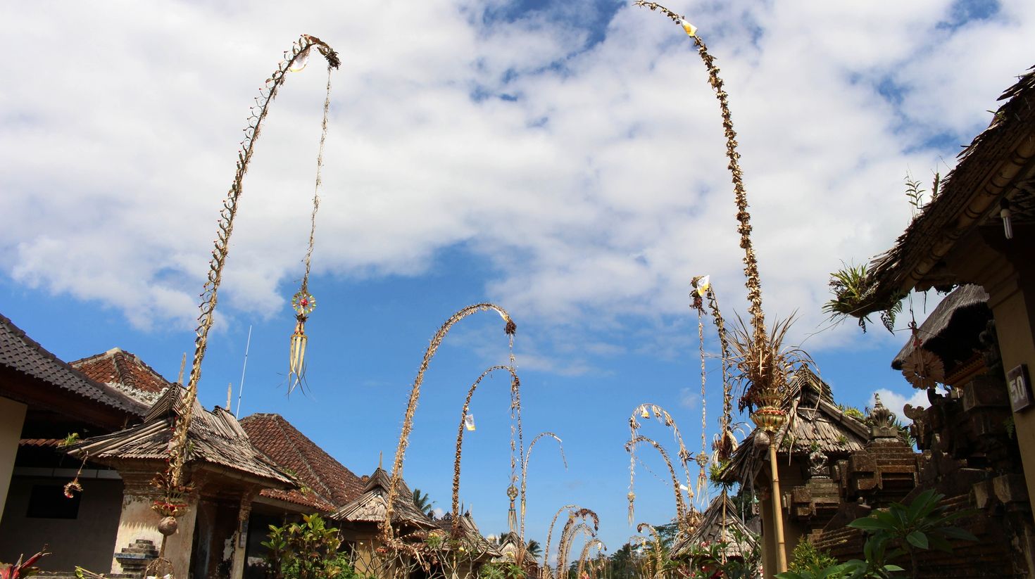 Traditional penjor on the streets during Penglipuran Village Festival