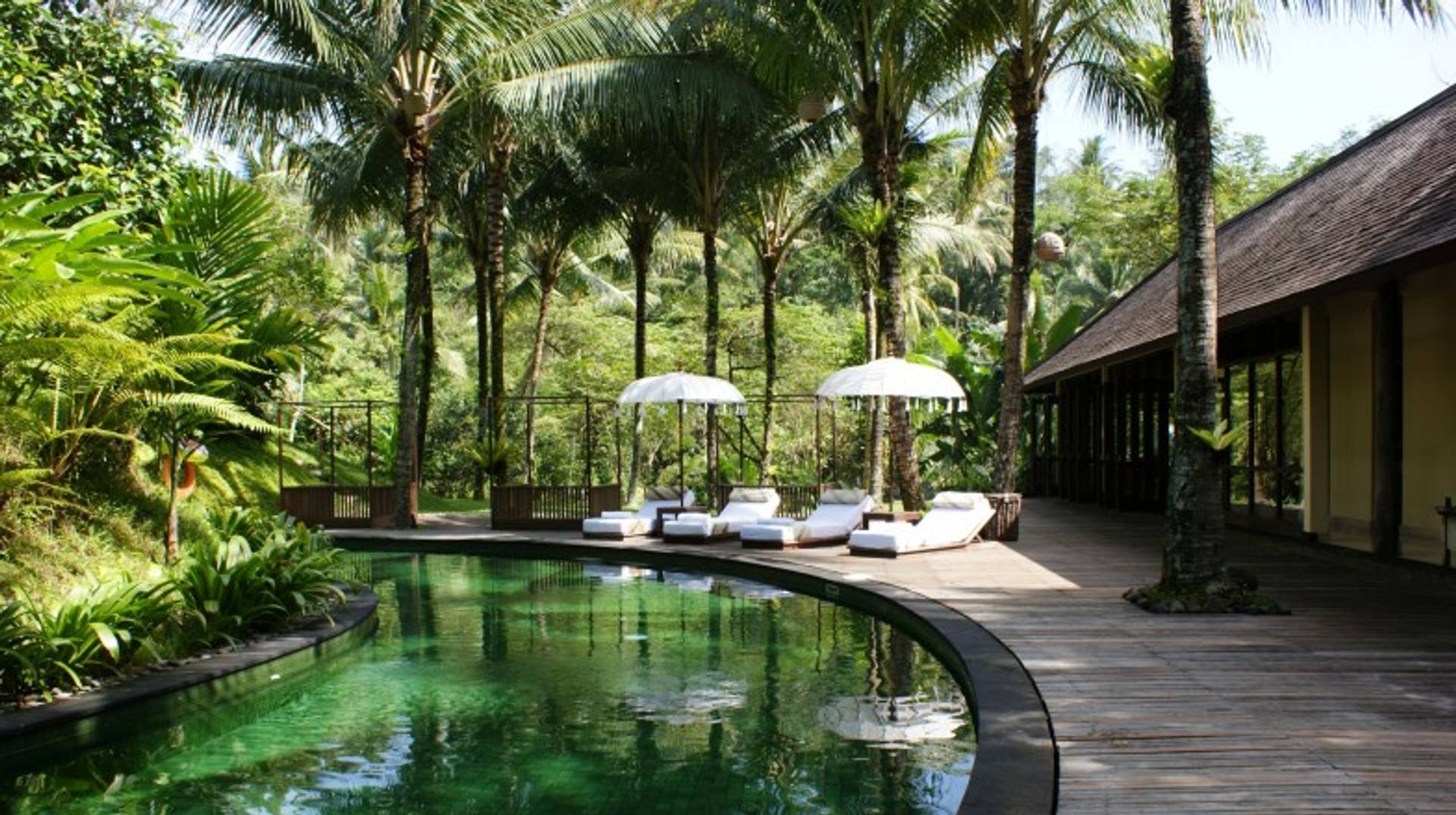 Indonesia in January: All You Need to Know
