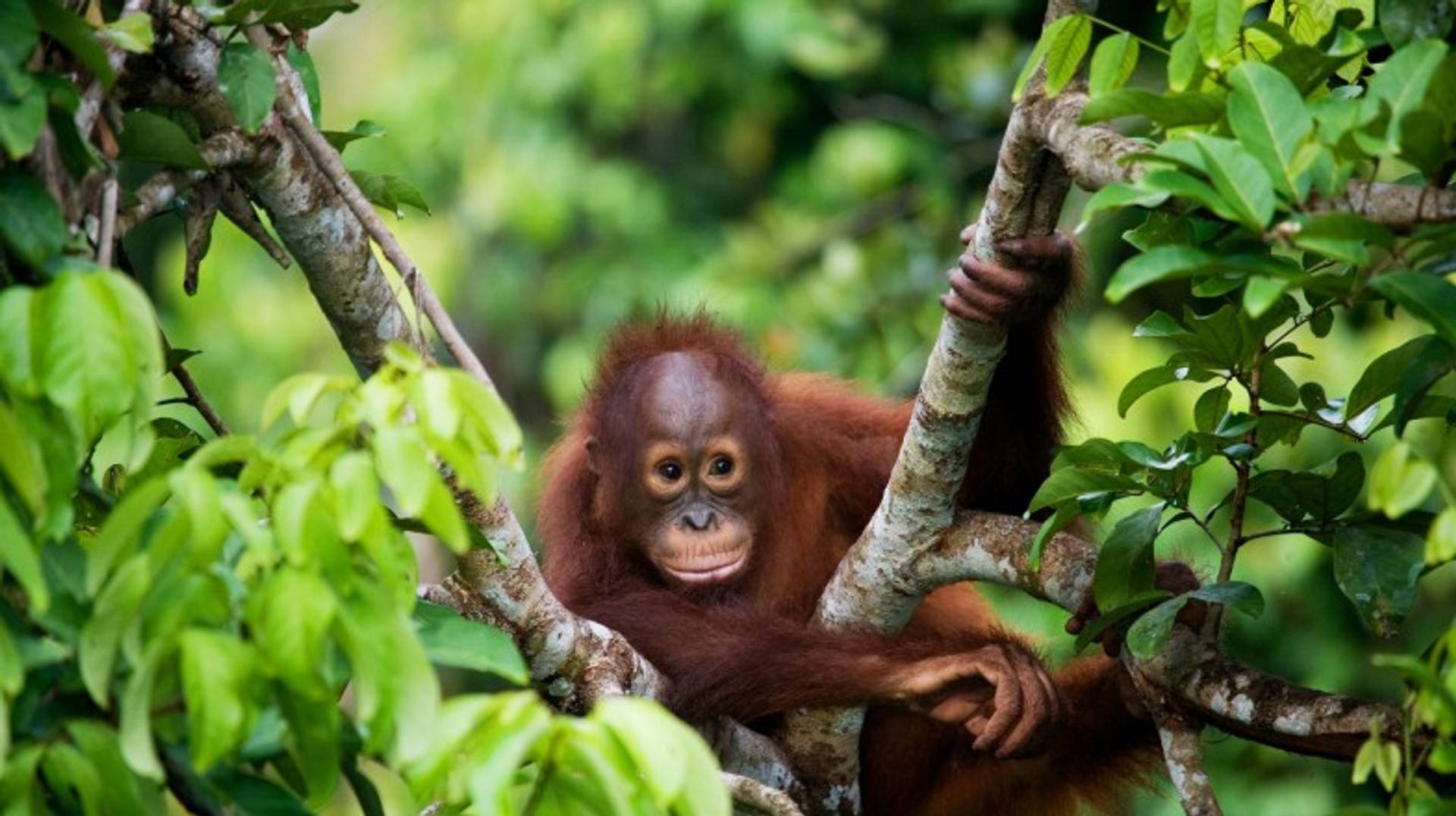 Indonesia in March: Weather, Travel Tips & More
