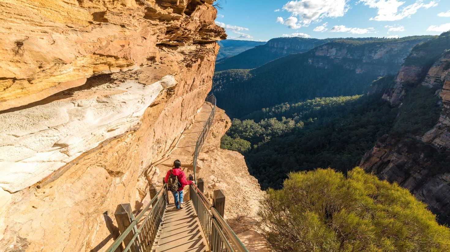 One of the many things to do in Blue Mountains is to go hiking.