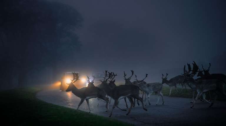 Ireland in December: Weather, Travel Tips & More!