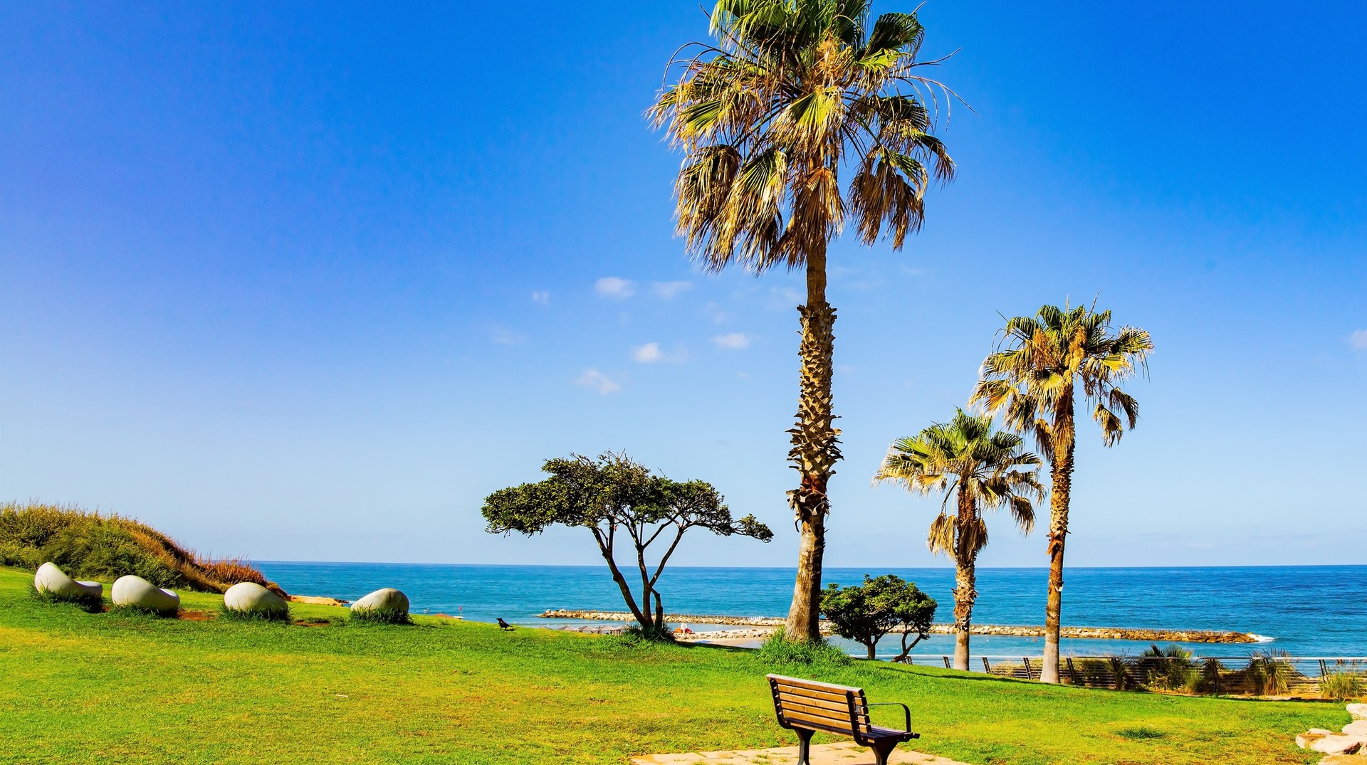 Soak up in the sun and enjoy beach hopping when you travel to Israel in June. A park next to beach in Tel Aviv in Israel in June.