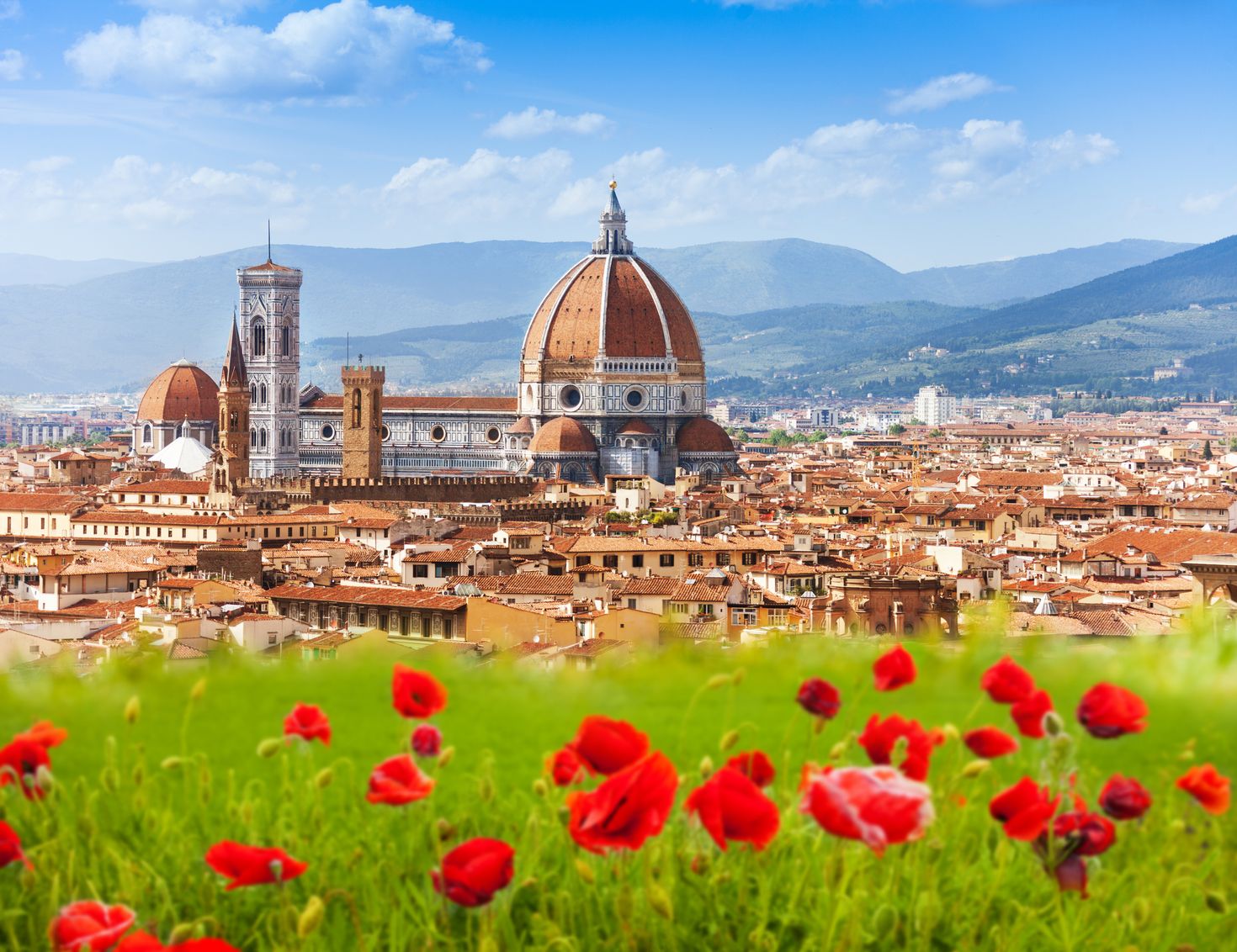 Florence cityscape with poppy flowers in view