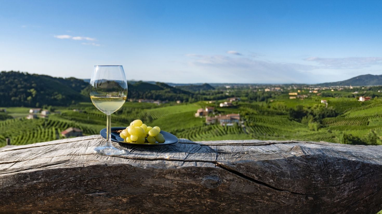 A glass of white wine in Italy