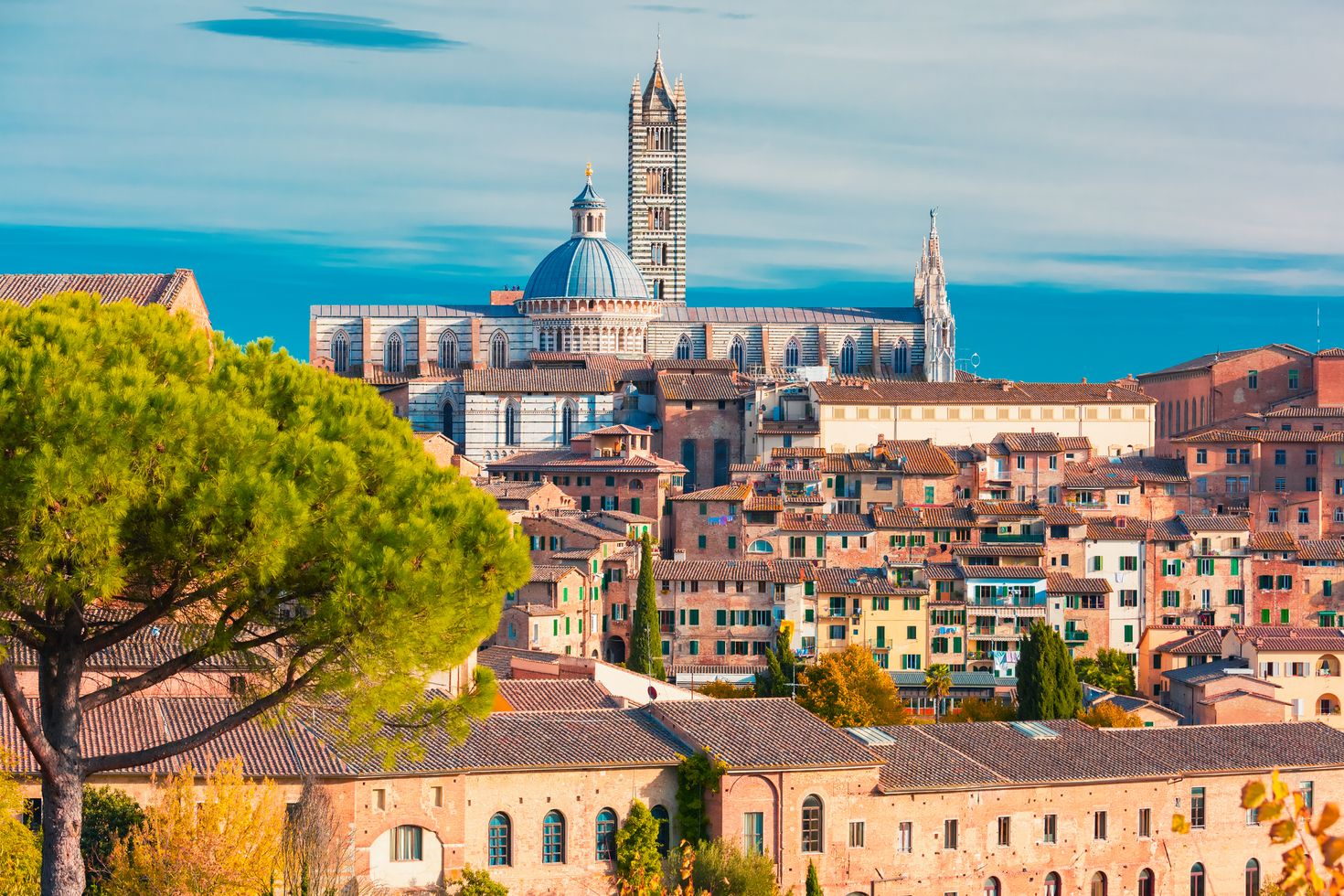 The view of Dome and campanile of Siena Cathedral in Siena, Tuscany