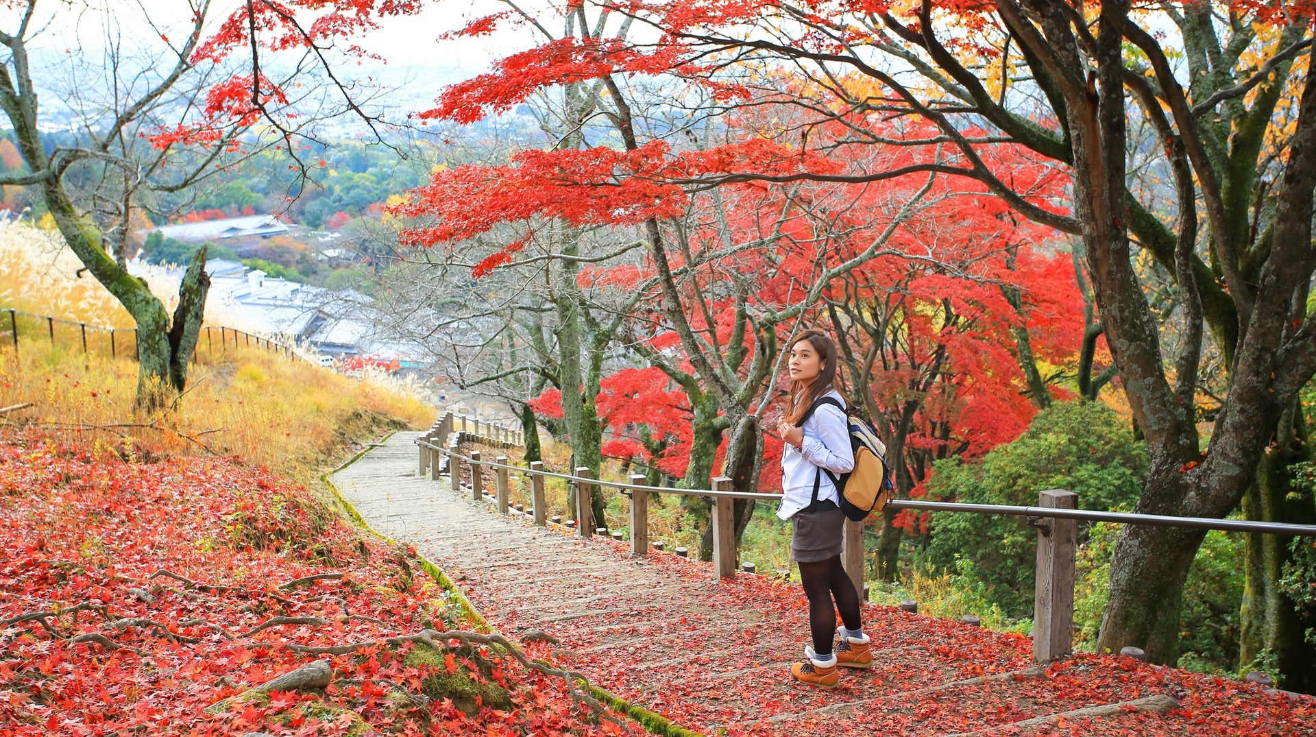 Japan offers abundant hiking trails for adventure enthusiasts. Woman on Mount Wakakusa trail in Japan for a 12-day trip during fall season