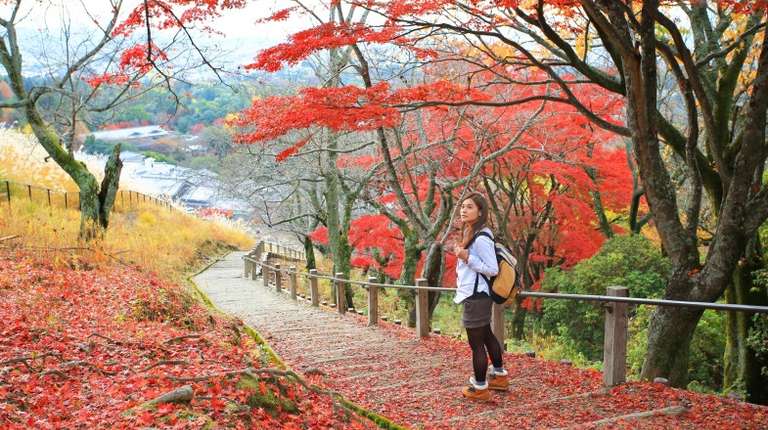 Woman on Mount Wakakusa trail in Japan for a 12-day trip during fall season