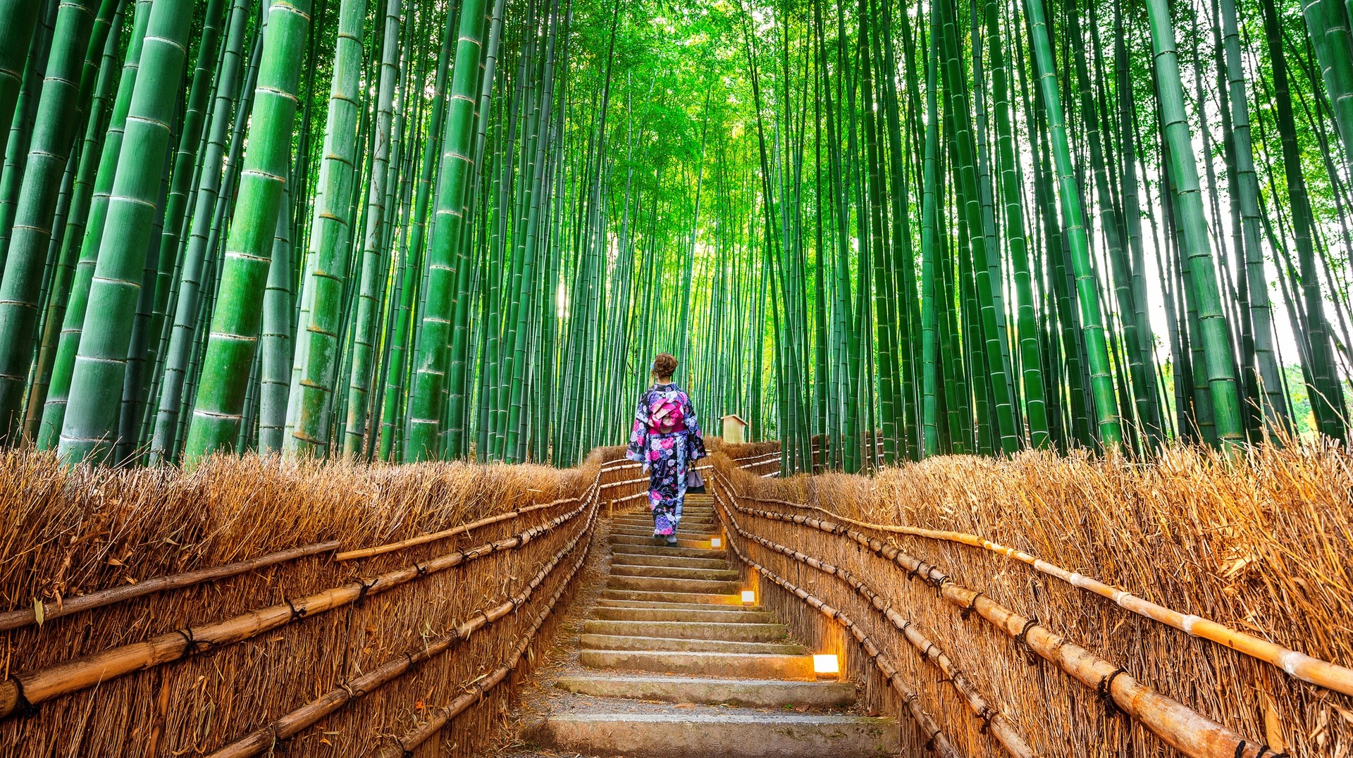 A woman dressed in traditional kimono explores the Bamboo forest on an itinerary for 21 days in Japan.