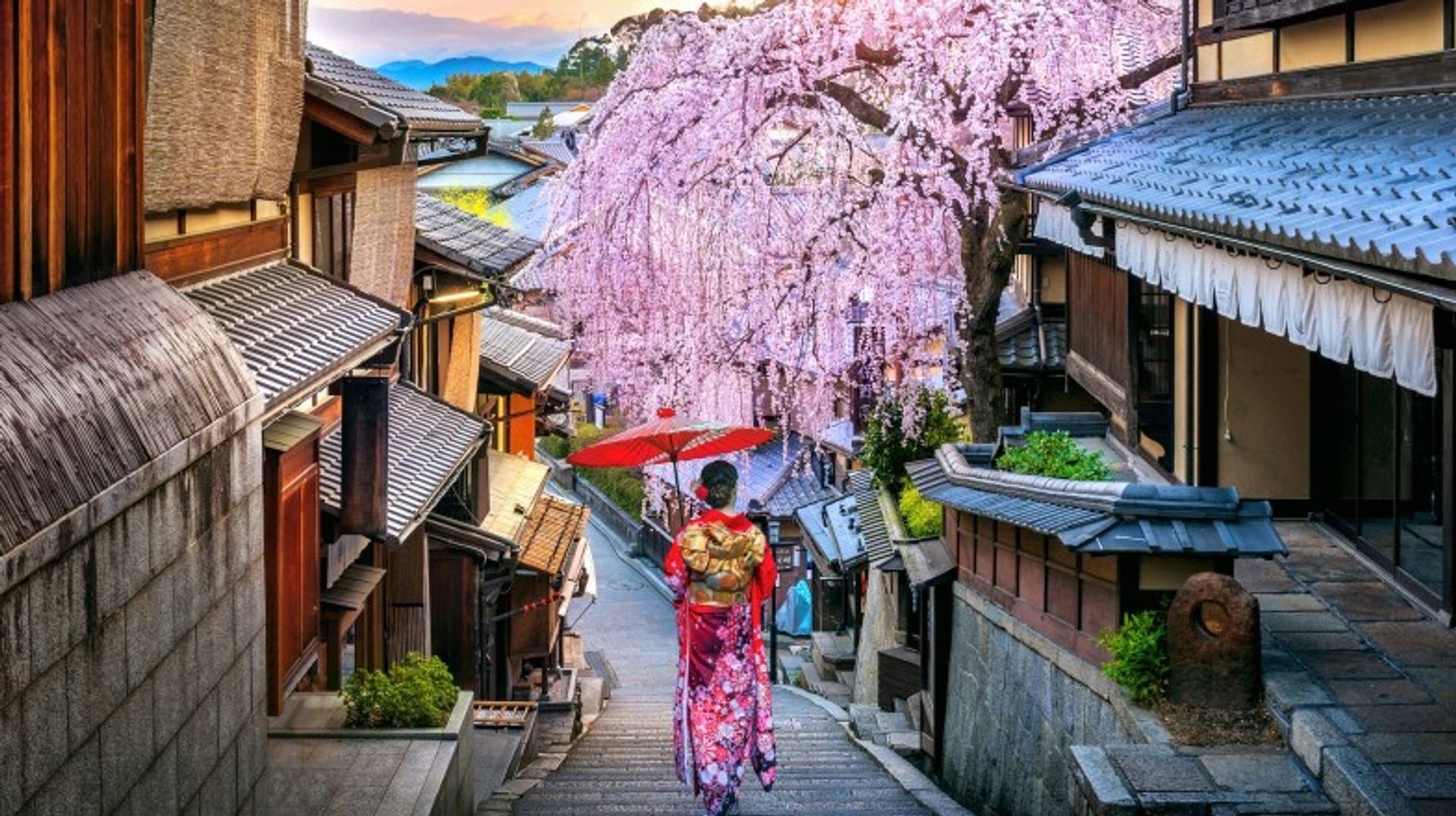 Japan in 8 Days: 4 Recommended 8-day Itineraries to Japan