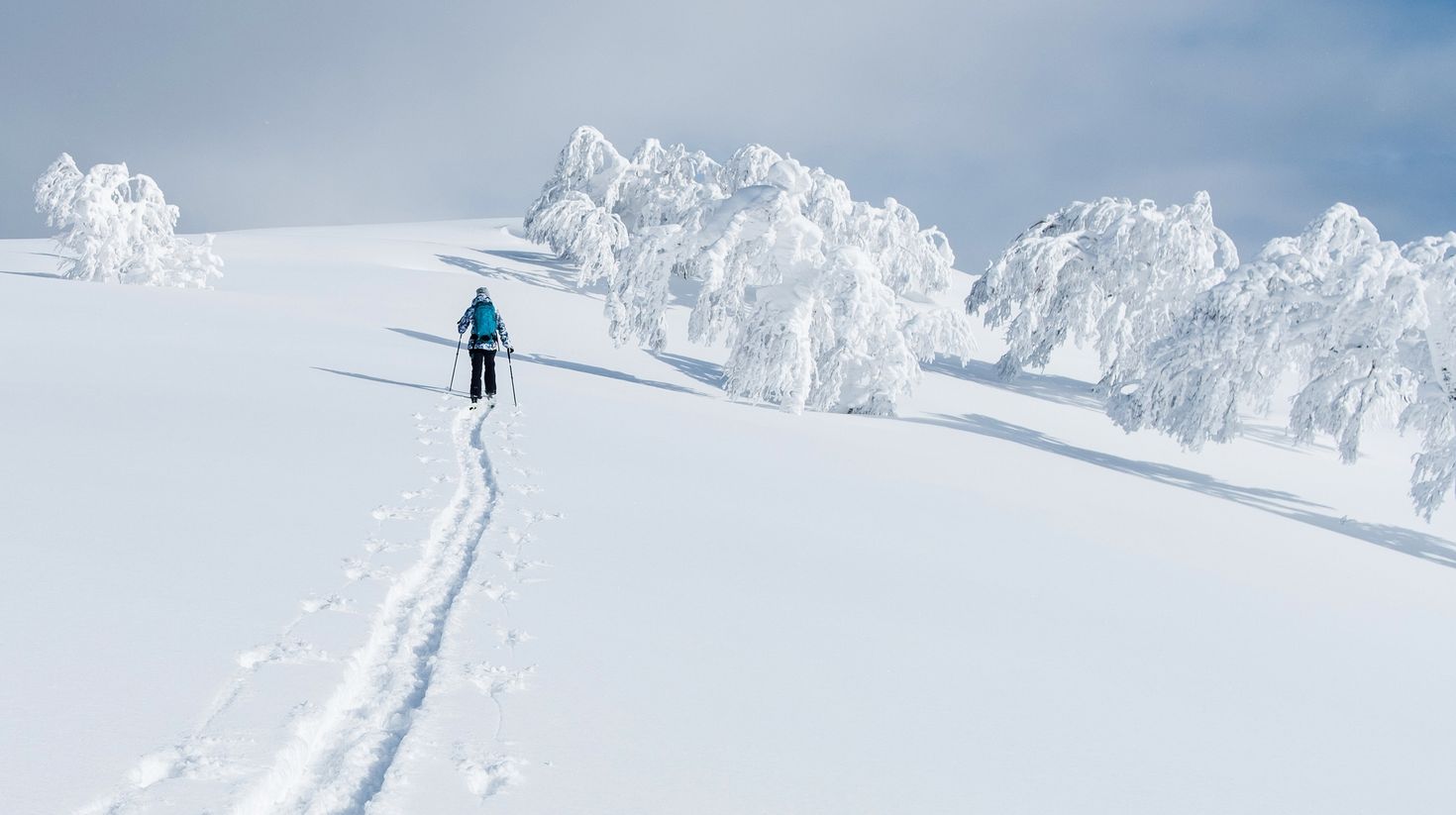 A female tourist trekking on her skis up a snowy hill in Niseko.