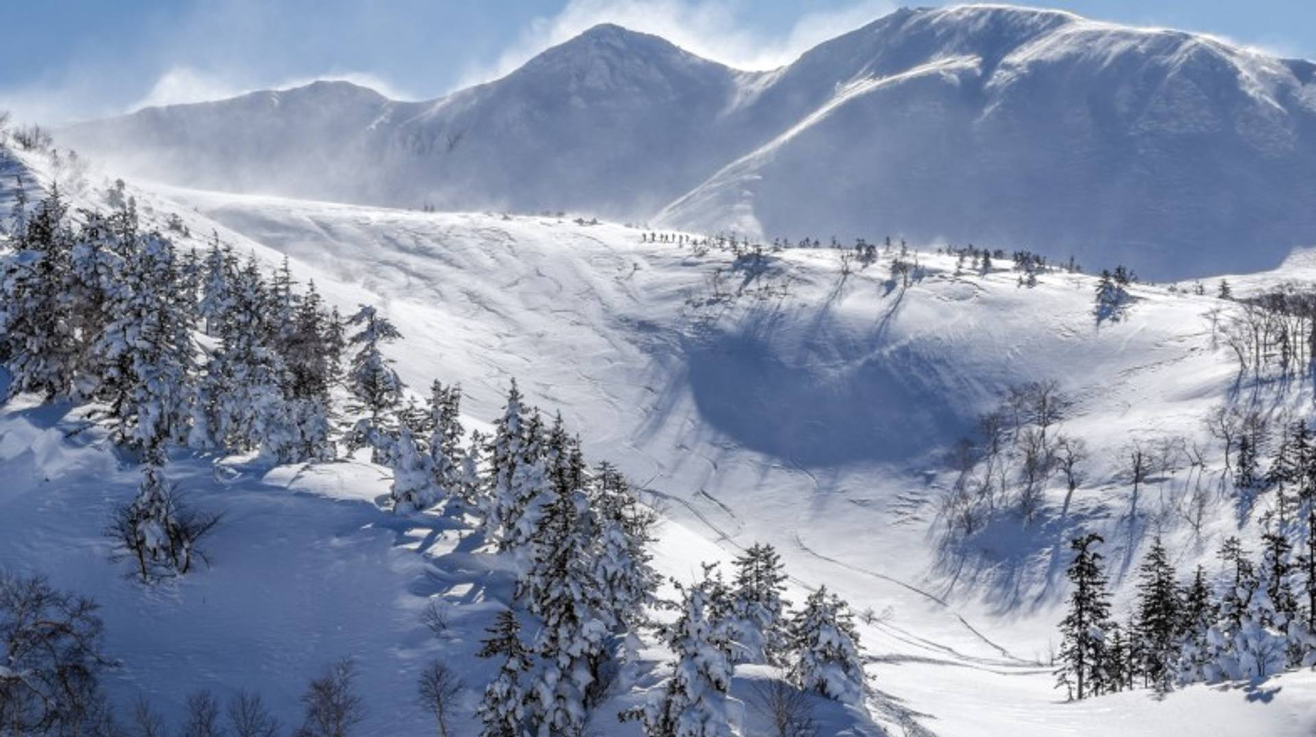 Japan in December: Sunny Weather, Snowy Slopes & Tips
