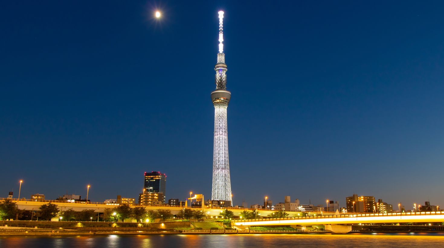 A picture of Tokyo skyline and Skytree taken in Sumida.