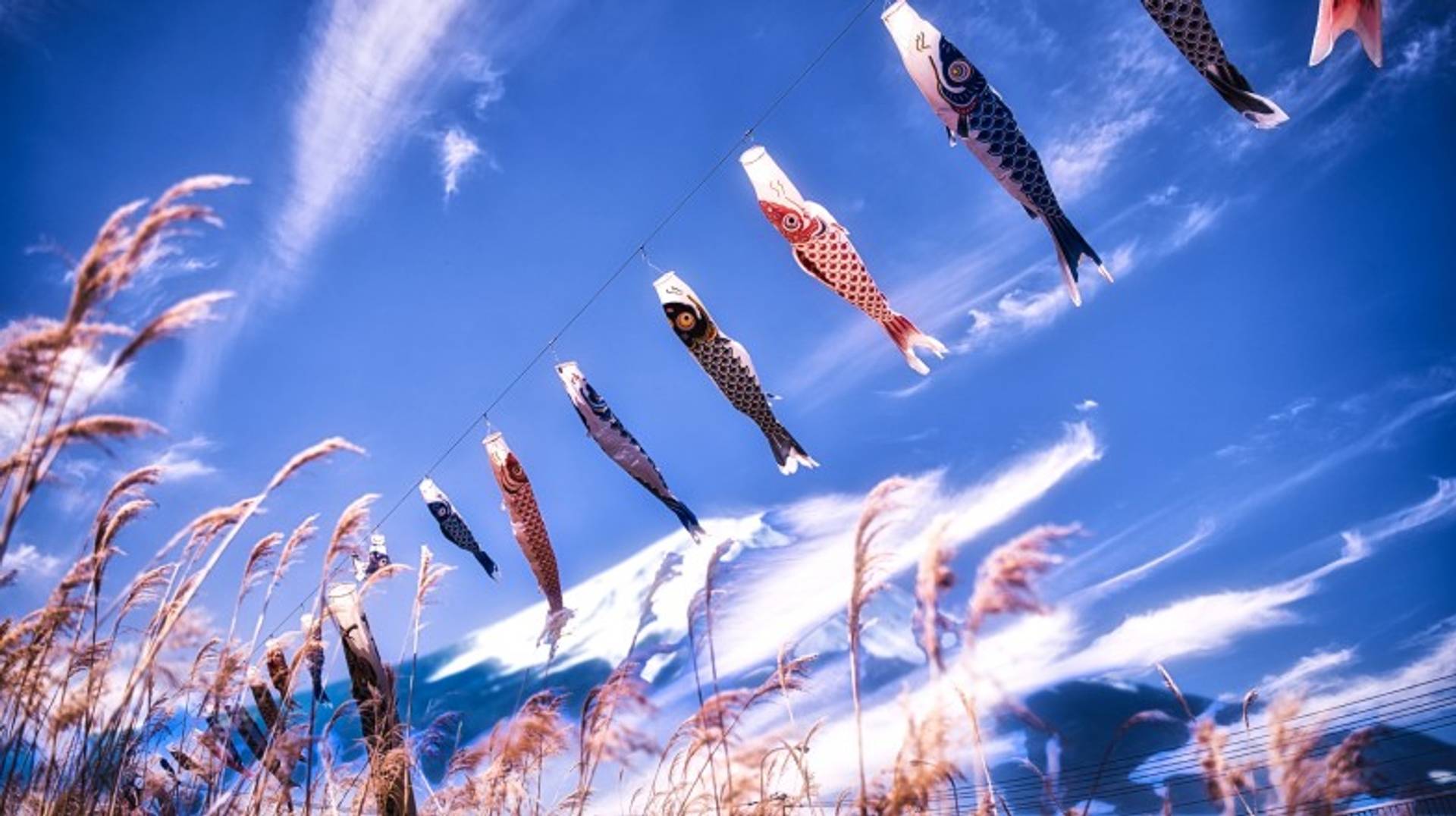 Japan in May: Pleasant Weather and Gorgeous Countryside