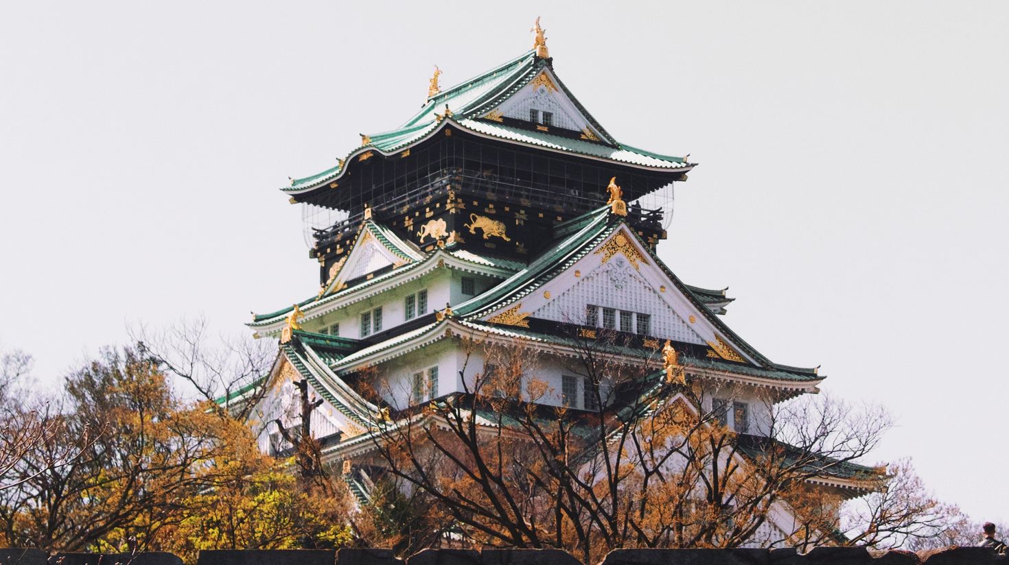 The Japan Golden Route also takes you to Osaka palace, a true beauty of Osaka.