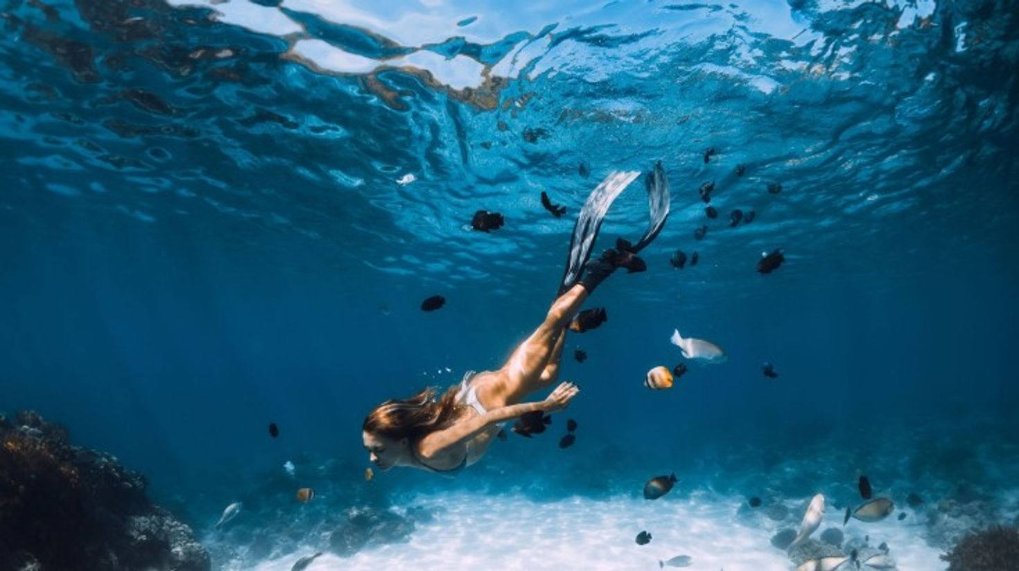 A girl snorkeling in Aqaba with fish in Aqaba during her 6 days in Jordan.