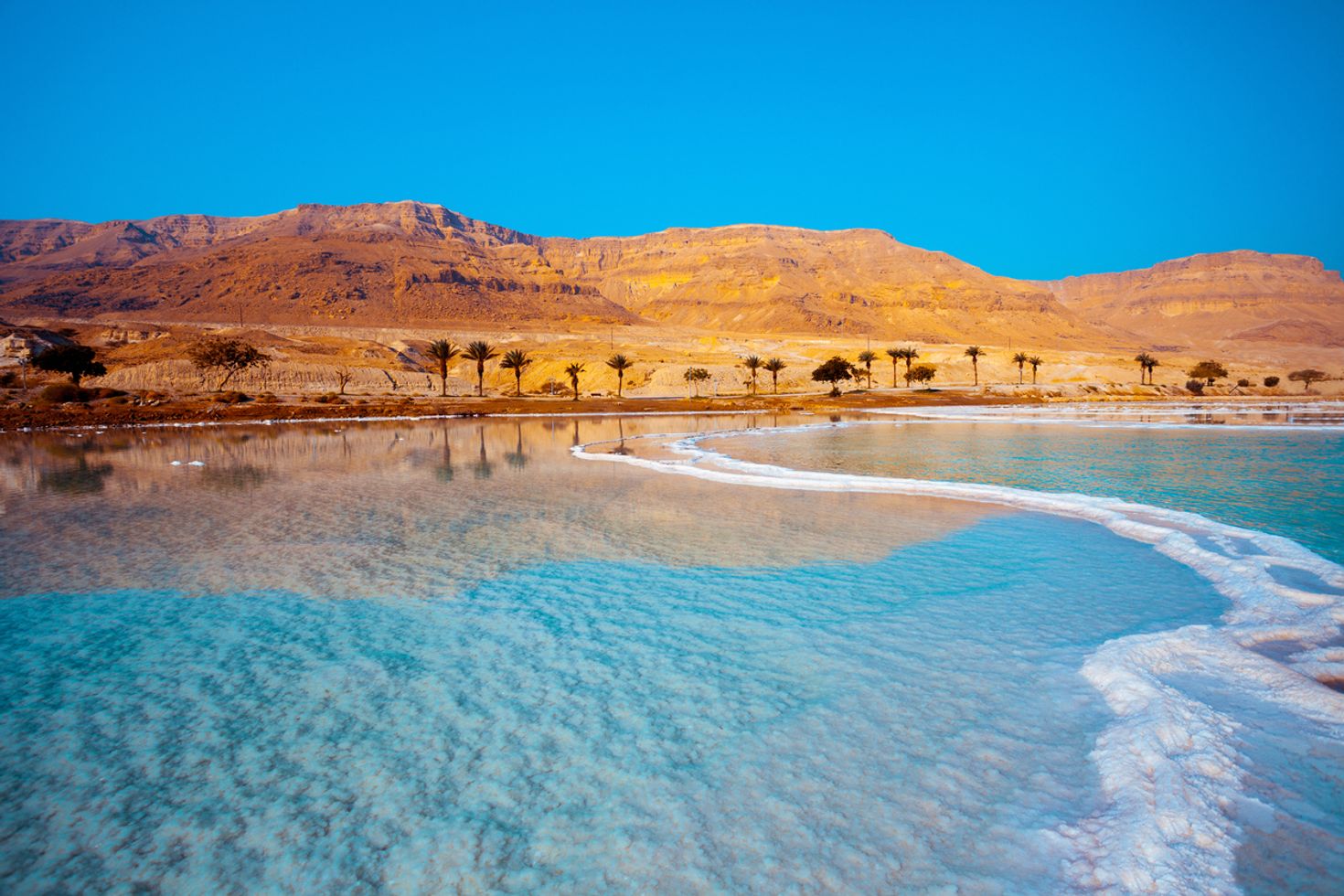 Dead sea seashore with palm trees during day in Jordan in July.