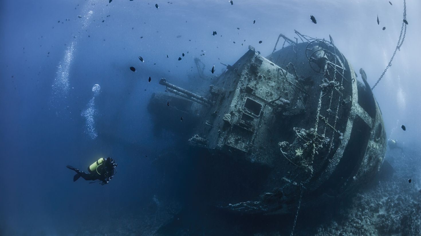 exploring the shipwreck Cedar Pride in the Jordan Red Sea