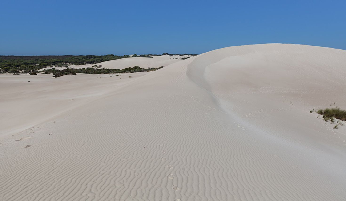 A must do activity in Kangaroo Island is sand boarding in Little Sahara
