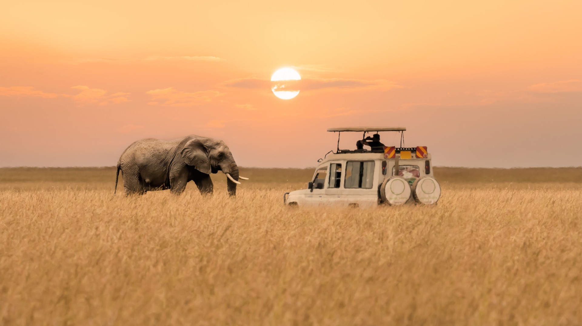 Embark on a thrilling wildlife safari in Maasai Mara during your 10 days in Kenya Consider taking a safari ride during your 10 days in Kenya trip.