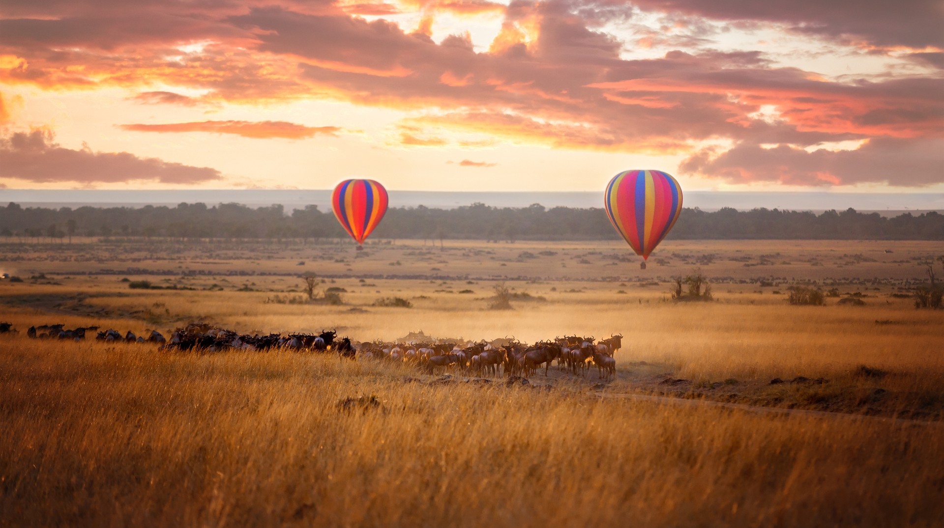 Hot air balloons rise in Maasai Mara during sunrise in Kenya in 4 days.