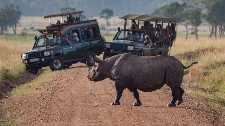 A rhino spotted crossing roads on a safari trip during their 5 days in Kenya.